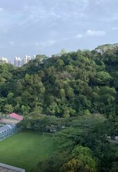 Blk 72 Telok Blangah Heights (Bukit Merah), HDB 5 Rooms #458367411